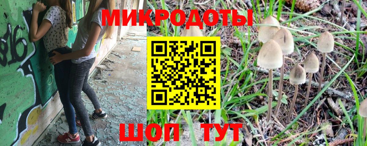 Псилоцибиновые грибы GOLDEN TEACHER  купить наркоту  Галлюциногенные грибы прущие грибы  Алексеевка  Вход с VPN 