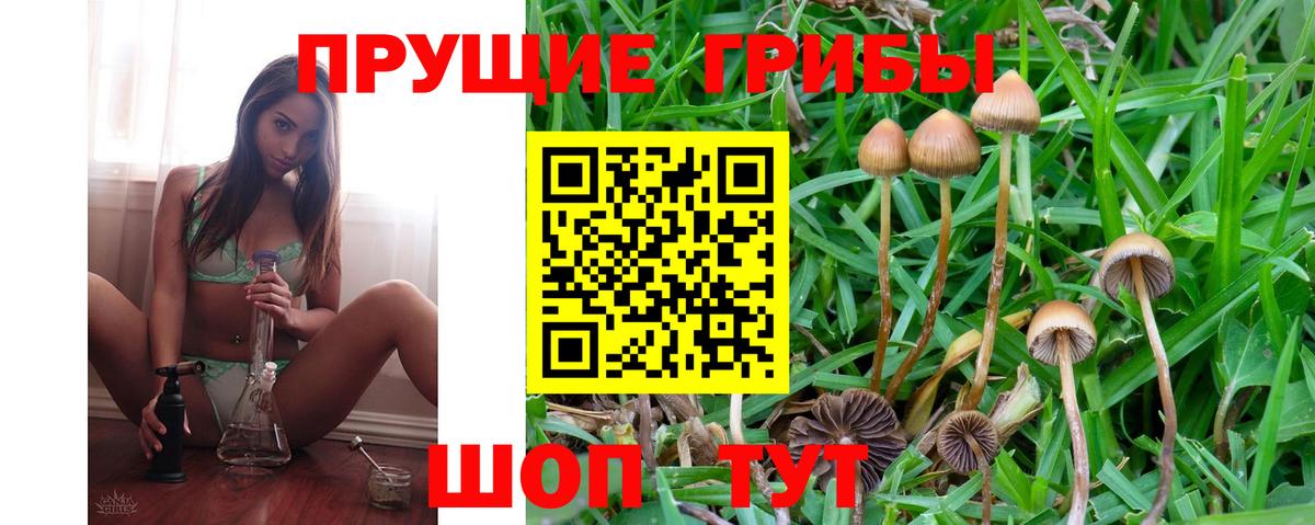 Галлюциногенные грибы GOLDEN TEACHER Алексеевка